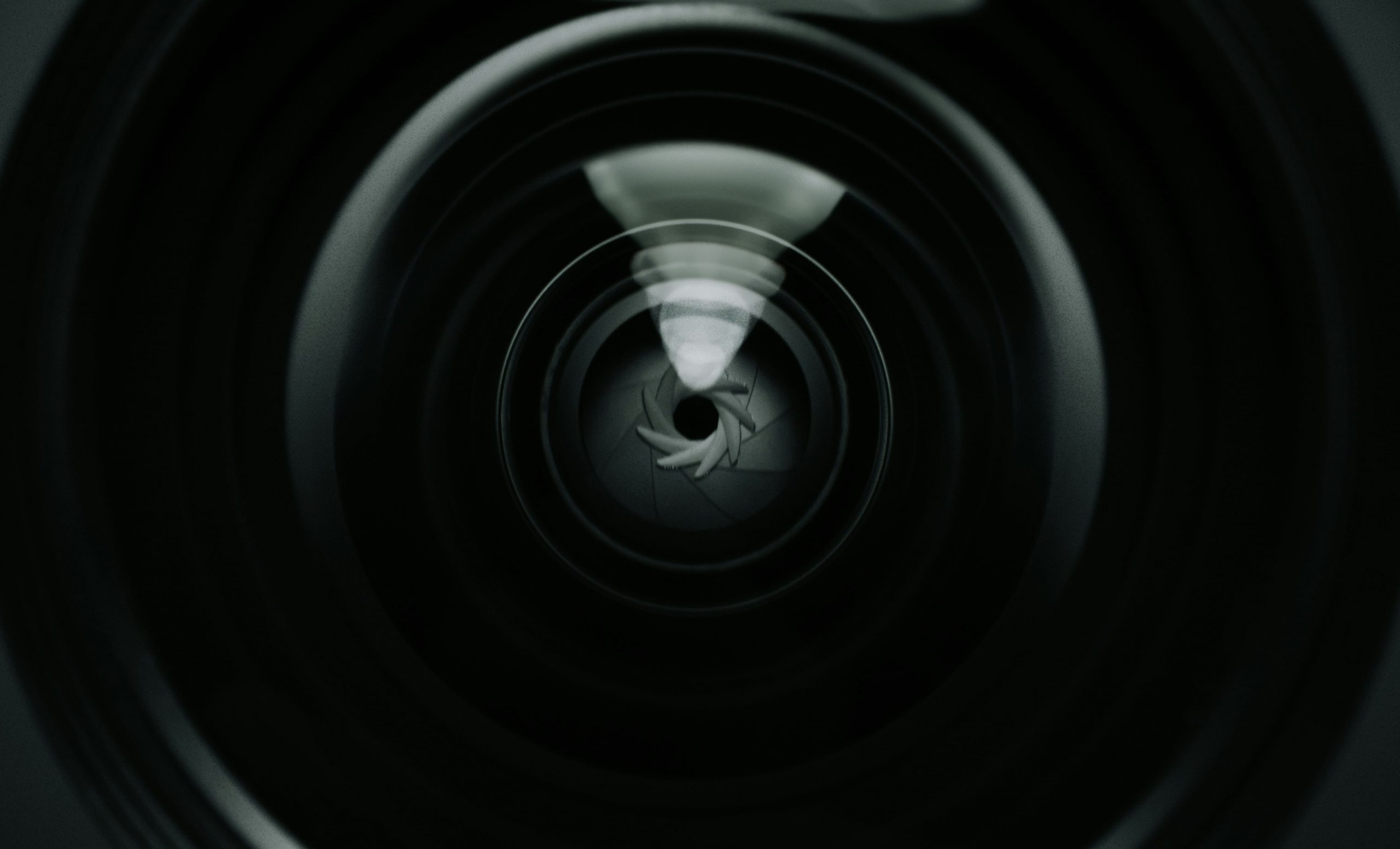 Investigatore privato per casi di stalking Modena